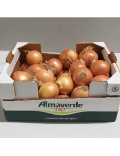 Cassetta di Cipolle Dorate Bio 🧅🧅🧅 | Shop Almaverde Bio