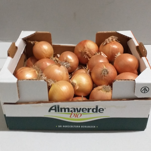 Cassetta di Cipolle Dorate Bio 🧅🧅🧅 | Shop Almaverde Bio