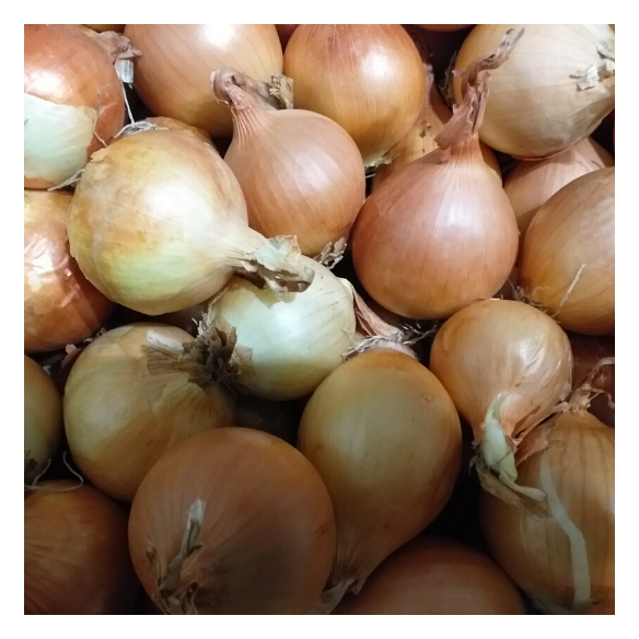 Cipolla mini biologica Almaverde Bio Acquista Online Cipolla mini biologica Almaverde Bio Acquista Online