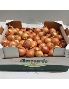 Cipolla mini biologica Almaverde Bio Acquista Online