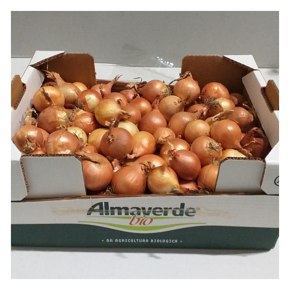 Cipolla mini biologica Almaverde Bio Acquista Online Cipolla mini biologica Almaverde Bio Acquista Online