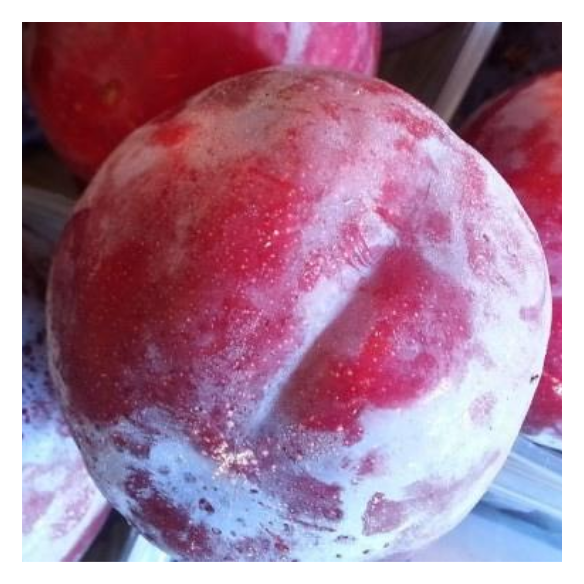 Susine Rosse Biologiche Almaverde Bio Acquista Online