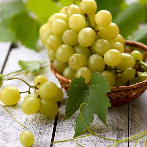 Uva Bianca senza semi Acquista Online FruttaWeb Uva Bianca senza semi Acquista Online FruttaWeb