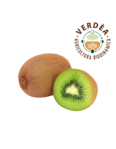 Kiwi Verde Biodinamico Acquista Online