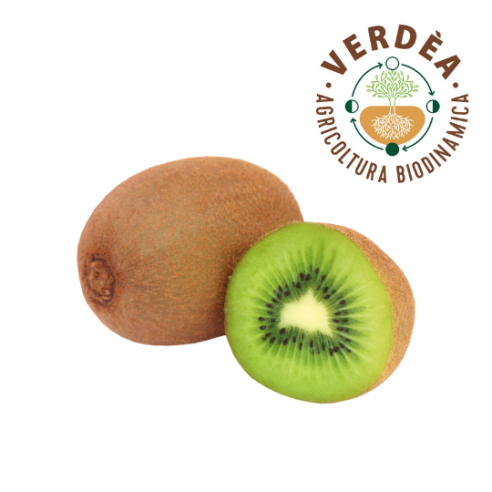 Kiwi Verde Biodinamico Acquista Online