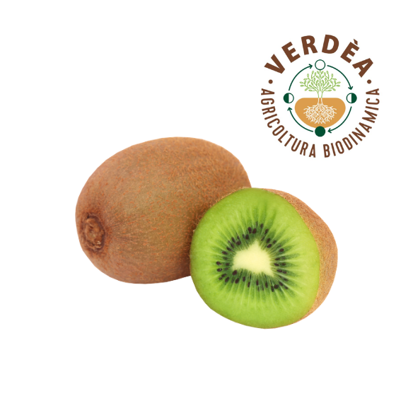Kiwi Verde Biodinamico Acquista Online