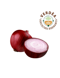Cipolla rossa da agricoltura biodinamica Verdea