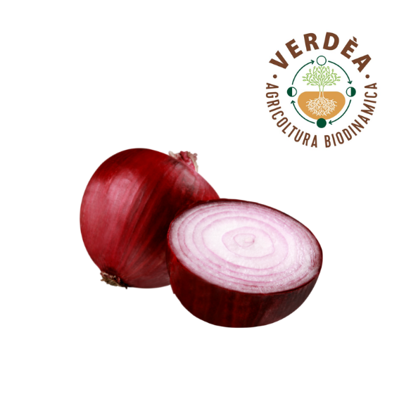 Cipolla rossa da agricoltura biodinamica Verdea
