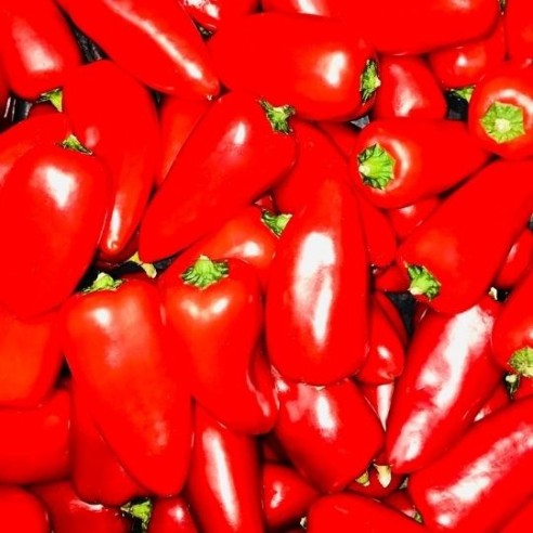 Peperoni mini rossi biologici