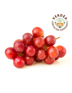 uva rossa senza semi Almaverde Bio