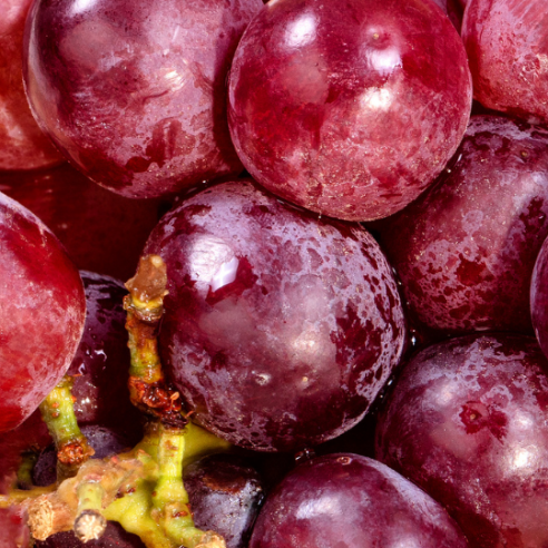 uva rossa senza semi allison biodinamica