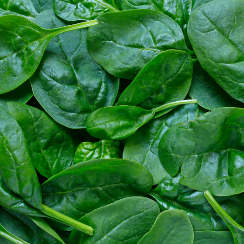 Spinaci Biologici | Shop Almaverde Bio