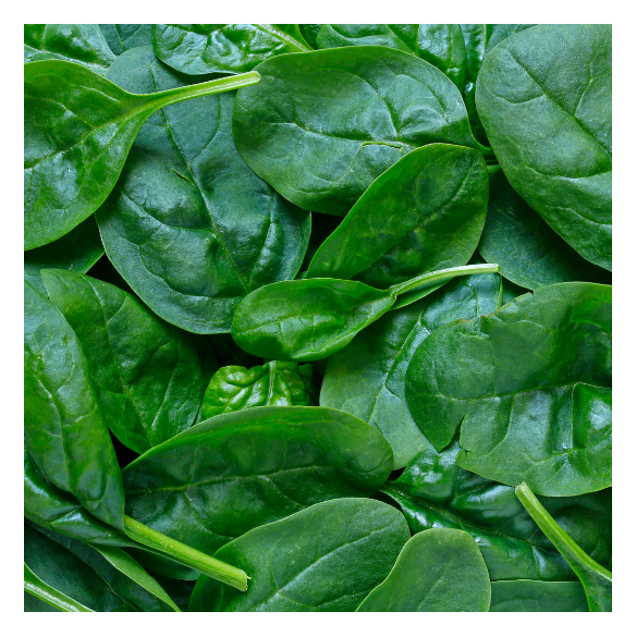 Spinaci Biologici | Shop Almaverde Bio