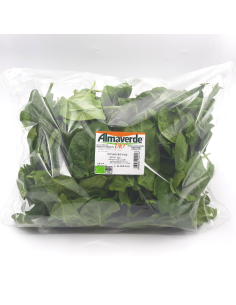 Spinaci Almaverde Bio