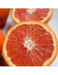 Arance Cara Cara Fruttaweb