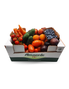 frutta e verdura biologica di stagione