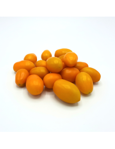 pomodoro datterino giallo almaverde bio