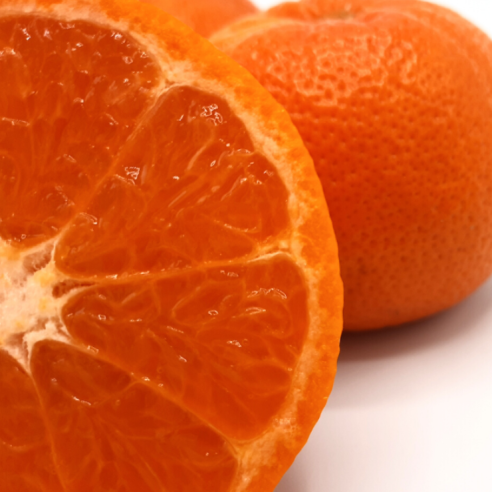 mandarino tango tangold biologico almaverde bio