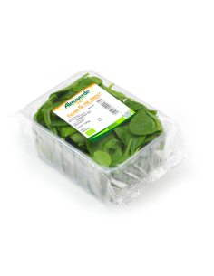 spinacino biologico almaverde bio acquista online