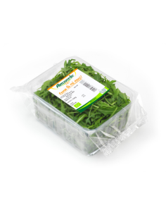 rucola biologica acquista online