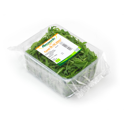 rucola biologica acquista online