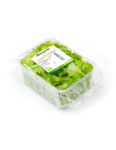 lattughino biologico almaverde bio acquista online