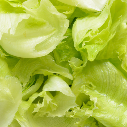 Lattughino biologico Almaverde Bio Acquista Online