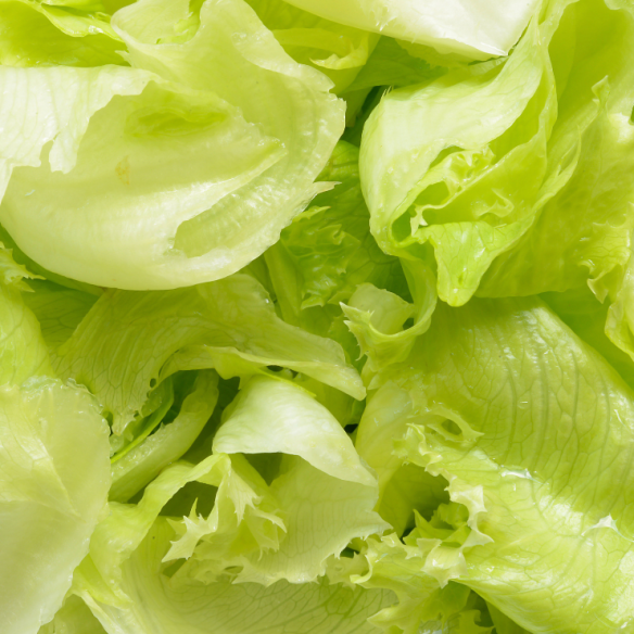 Lattughino biologico Almaverde Bio Acquista Online