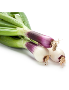 Cipollotto fresco biologico acquista online
