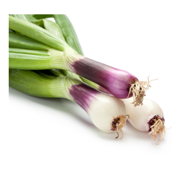 Cipollotto fresco biologico acquista online