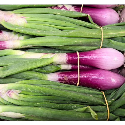 Cipollotto fresco biologico Almaverde Bio acquista online
