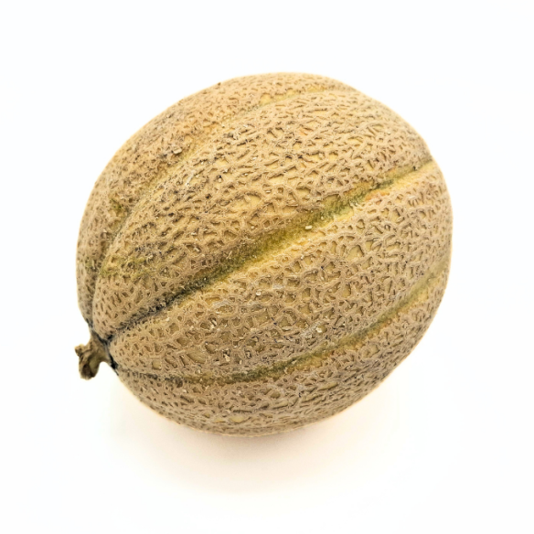 Melone retato Almaverde Bio Melone retato Almaverde Bio