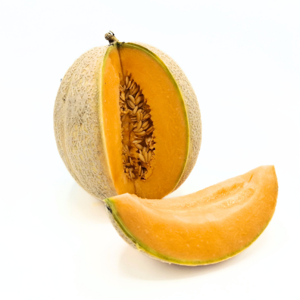 Melone retato Almaverde Bio Melone retato Almaverde Bio