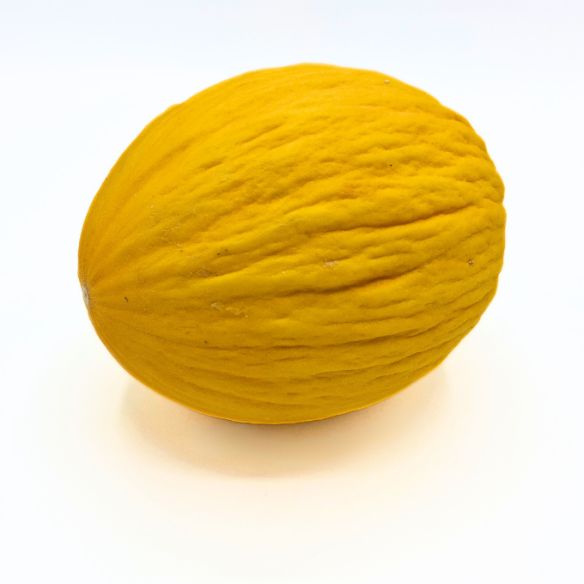 Melone Gialletto Almaverde BioAcquista Online