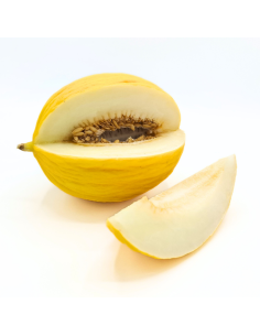 Melone Gialletto Almaverde BioAcquista Online