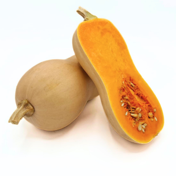 Zucca Butternut Biologica Vendita Online