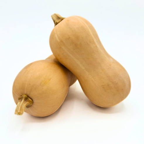 Zucca Butternut Biologica Vendita Online