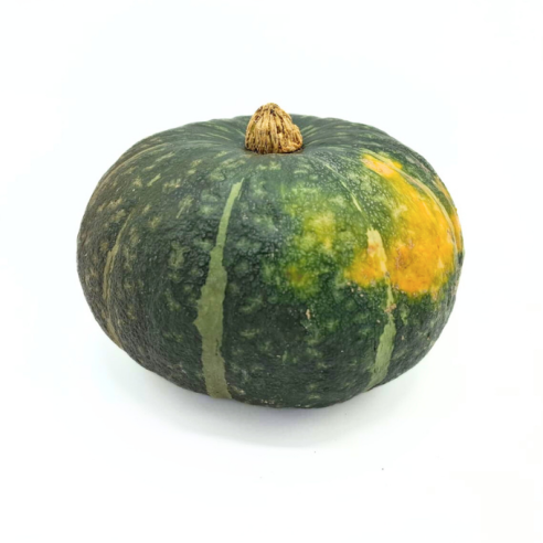 Zucca Delica Biologica Acquista Online