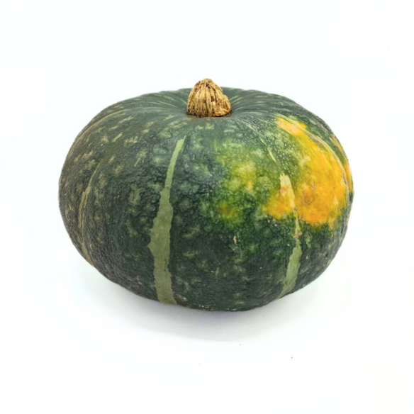 Zucca Delica Biologica Acquista Online