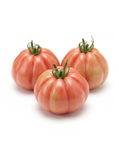 Pomodoro cuor di bue biologico