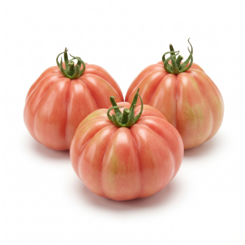 Pomodoro cuor di bue biologico
