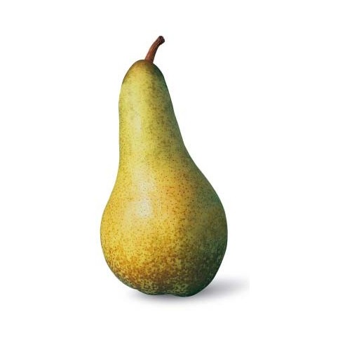 Pere Abate Solarelli in vendita su FruttaWeb