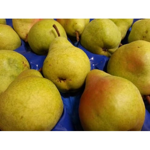 Pere Williams - 1 kg - Origine Italia