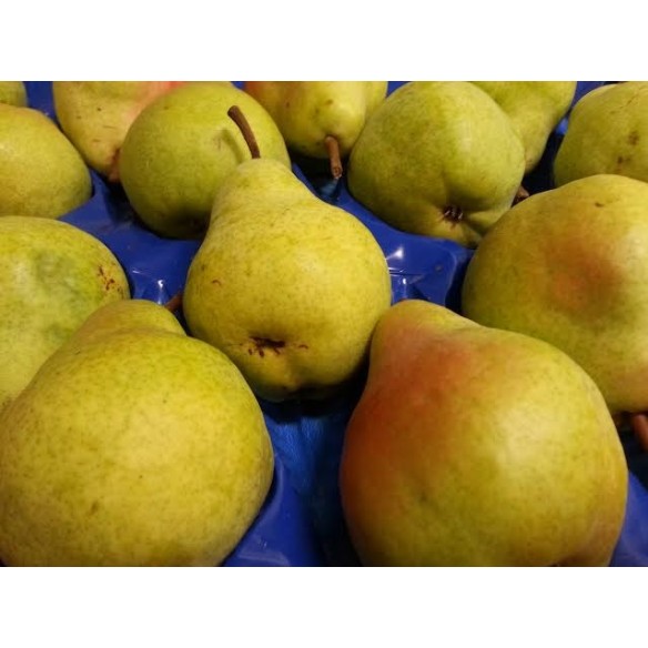 Pere Williams - 1 kg - Origine Italia