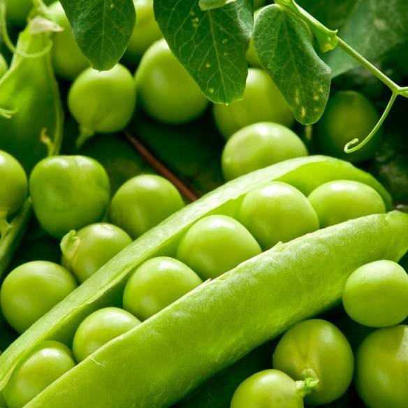 Piselli Verdi Freschi Biologici da sgranare: Acquista Online con un Click su FruttaWeb.co,