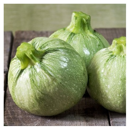 Zucchine tonde