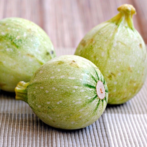 Zucchine tonde  Zucchine tonde