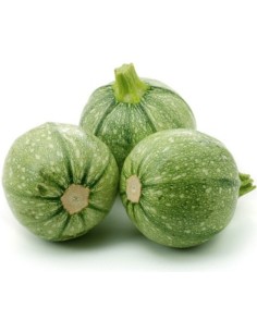 Zucchine tonde 