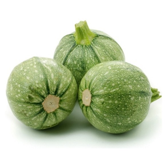 Zucchine tonde  Zucchine tonde