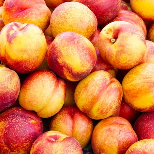 Nettarine gialle - 1 kg